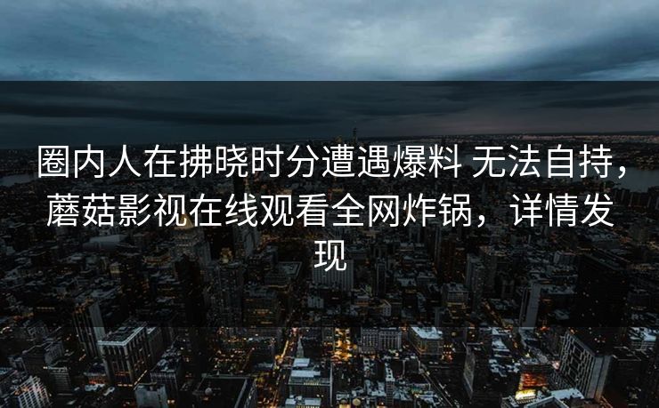 圈内人在拂晓时分遭遇爆料 无法自持，蘑菇影视在线观看全网炸锅，详情发现