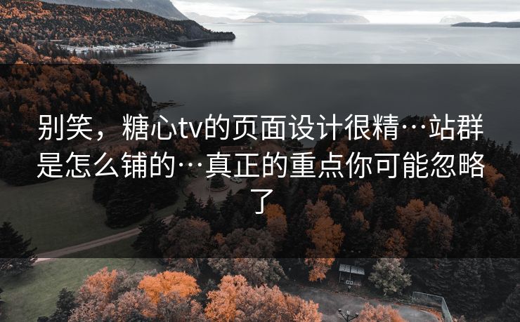 别笑，糖心tv的页面设计很精…站群是怎么铺的…真正的重点你可能忽略了